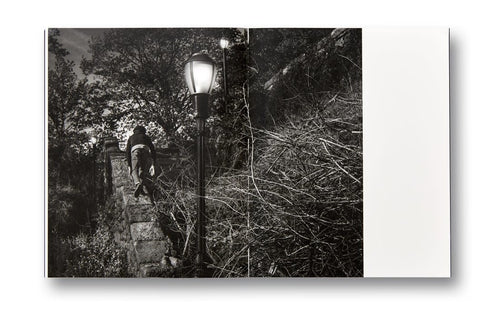 Adam Pape: Dyckman Haze