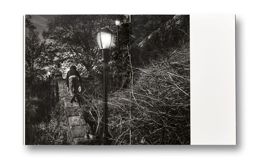 Adam Pape: Dyckman Haze