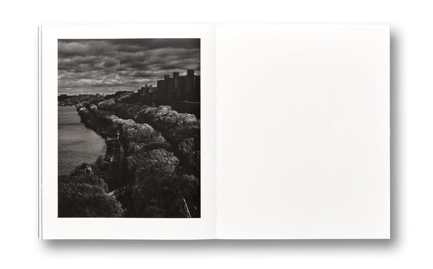 Adam Pape: Dyckman Haze