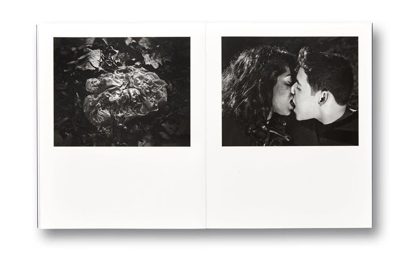 Adam Pape: Dyckman Haze