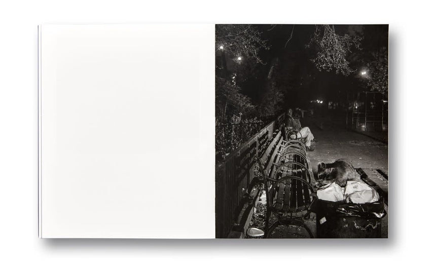 Adam Pape: Dyckman Haze