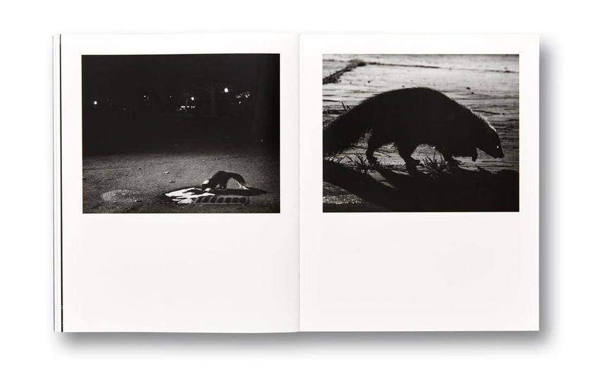 Adam Pape: Dyckman Haze