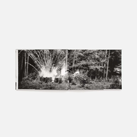 An-My Lê: Small Wars