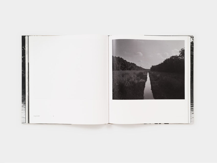 Dawoud Bey: An American Elegy