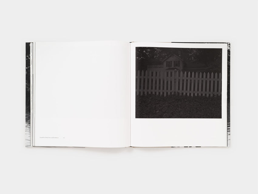 Dawoud Bey: An American Elegy