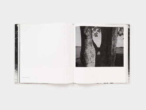 Dawoud Bey: An American Elegy