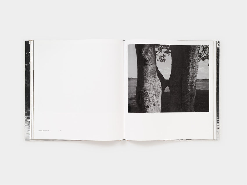 Dawoud Bey: An American Elegy