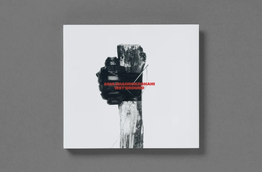 Aria Shahrokhshahi: Wet Ground