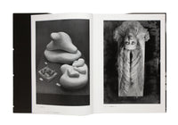 Avant-Garde Rising: The Photographic Vanguard in Modern Japan