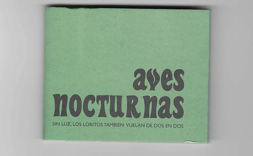 Valeria Giraldo: Aves nocturnas