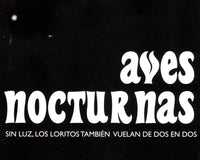 Valeria Giraldo: Aves nocturnas
