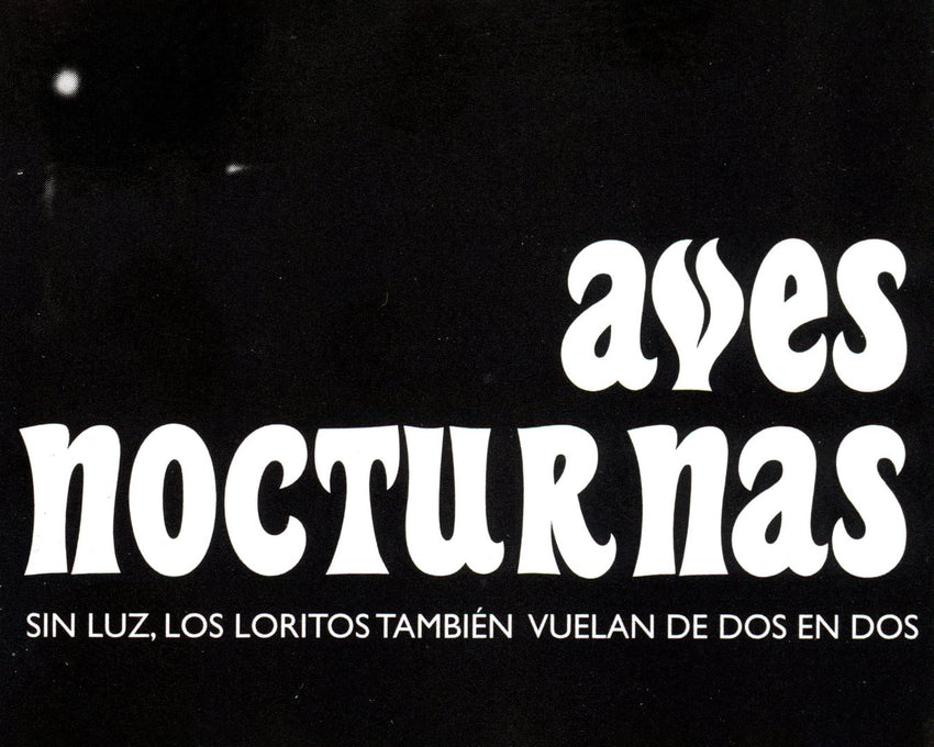 Valeria Giraldo: Aves nocturnas