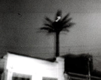 Valeria Giraldo: Aves nocturnas