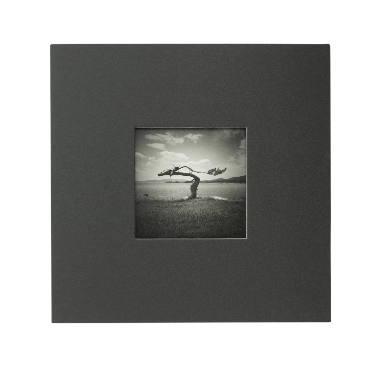 Toru Komatsu: Nature Morte - Après 311
