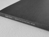 Espe Pons: Sota La Llum Del Mar