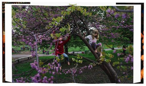 Alex Webb and Rebecca Norris Webb: Brooklyn, The City Within