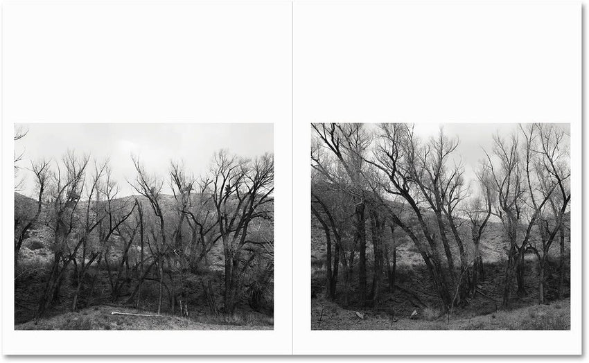 Paul Graham: But Still, It Turns (NOT AVAILABLE)