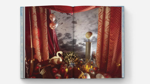Carrie Mae Weems: The Shape of Things