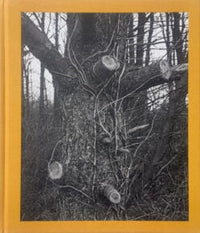 Tim Carpenter: Christmas Day, Bucks Pond