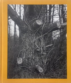 Tim Carpenter: Christmas Day, Bucks Pond