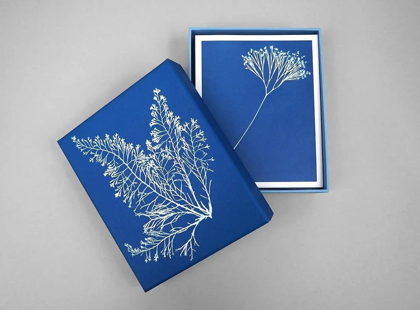Sunprint Notecards