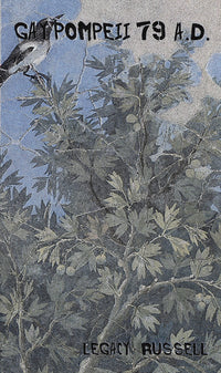 Gay Pompeii 7.9. AD by Legacy Russell