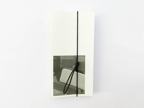 David Gallo: Moving Through Images
