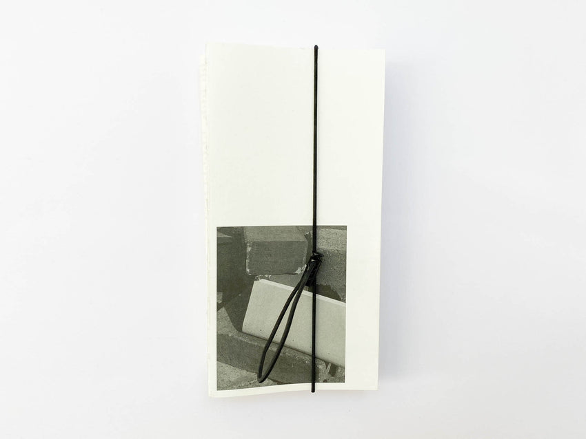 David Gallo: Moving Through Images