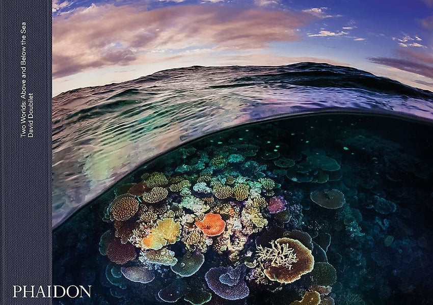 David Doubilet: Two Worlds - Above and Below the Sea (Signed Edition)