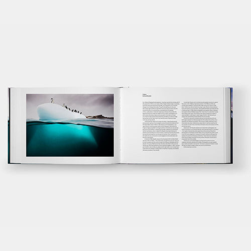 David Doubilet: Two Worlds - Above and Below the Sea (Signed Edition)