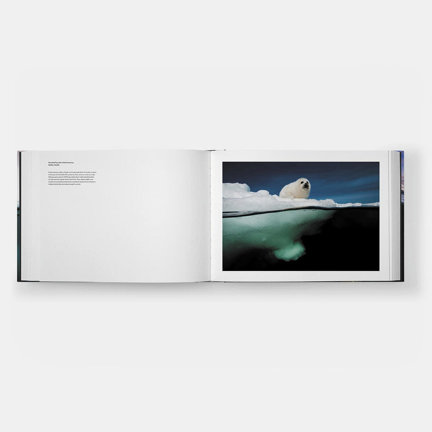 David Doubilet: Two Worlds - Above and Below the Sea (Signed Edition)