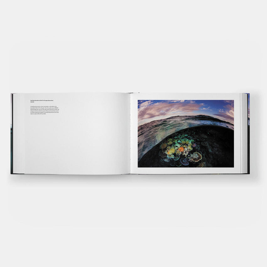 David Doubilet: Two Worlds - Above and Below the Sea (Signed Edition)