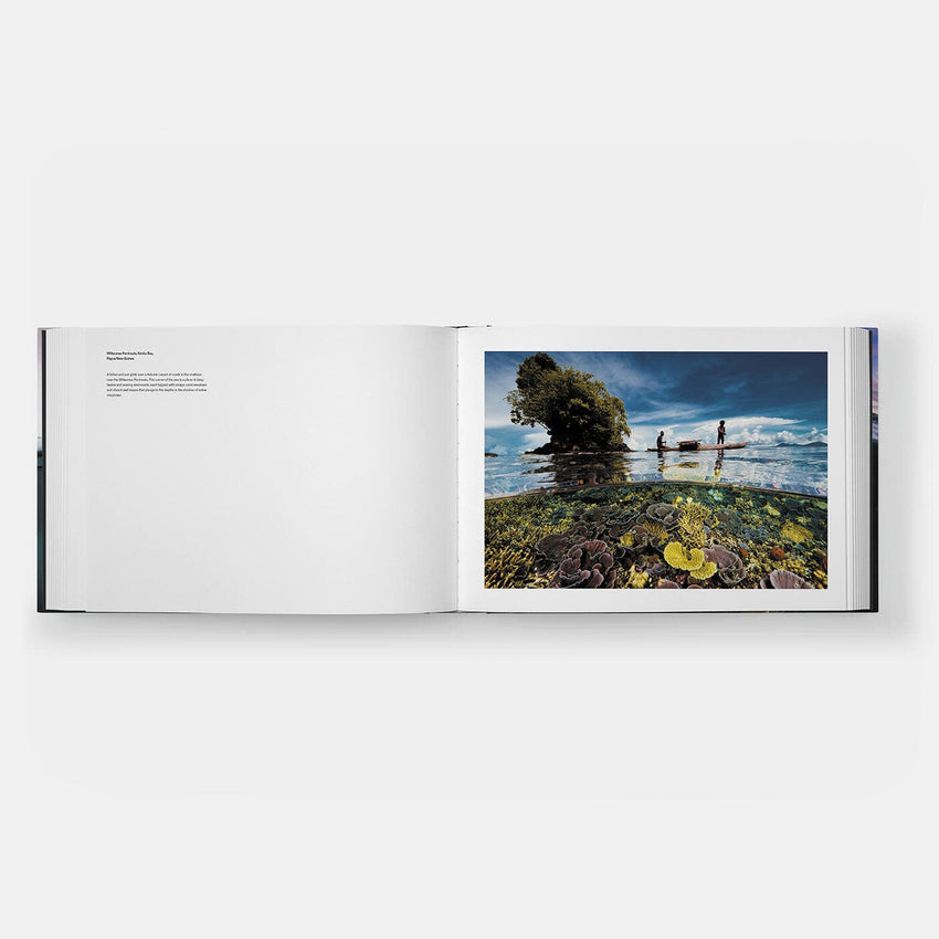 David Doubilet: Two Worlds - Above and Below the Sea (Signed Edition)