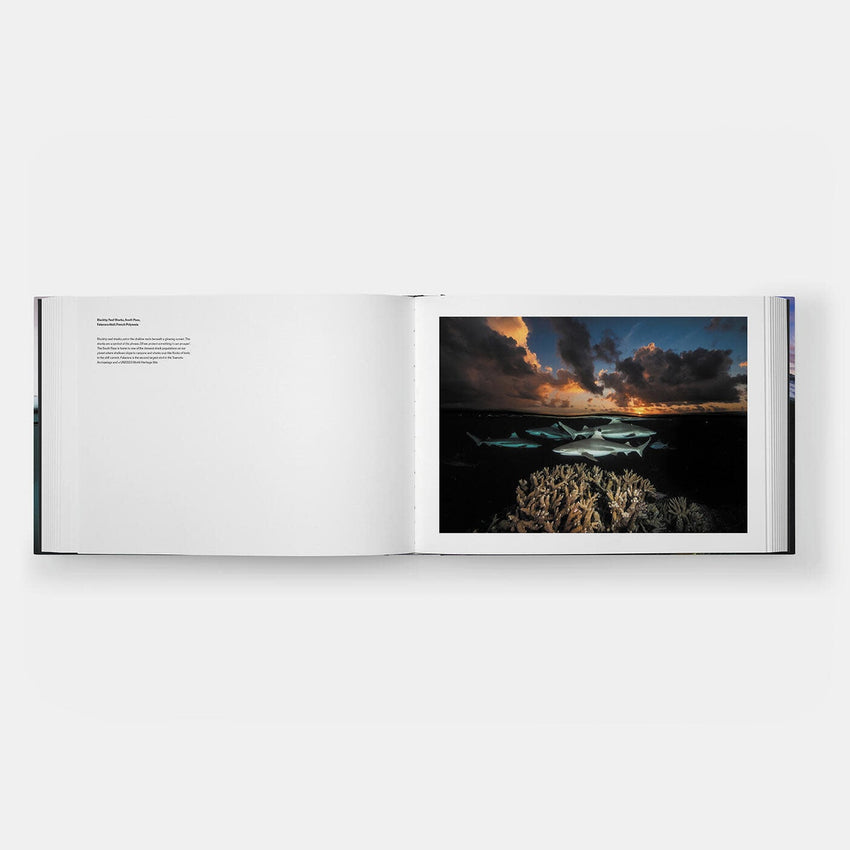 David Doubilet: Two Worlds - Above and Below the Sea (Signed Edition)