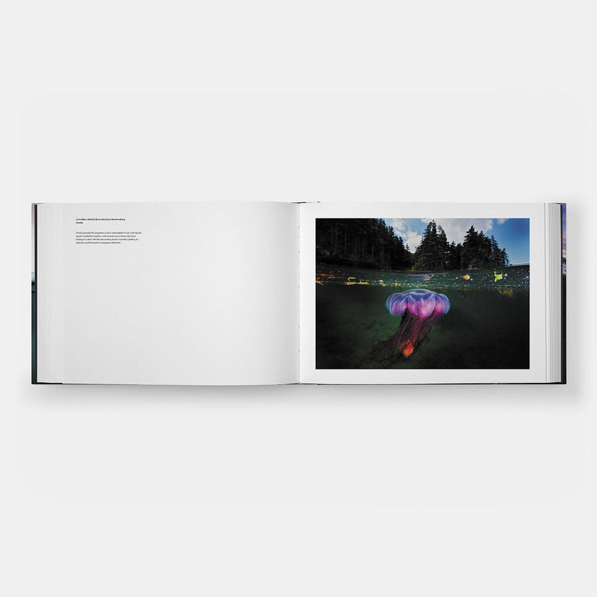 David Doubilet: Two Worlds - Above and Below the Sea (Signed Edition)