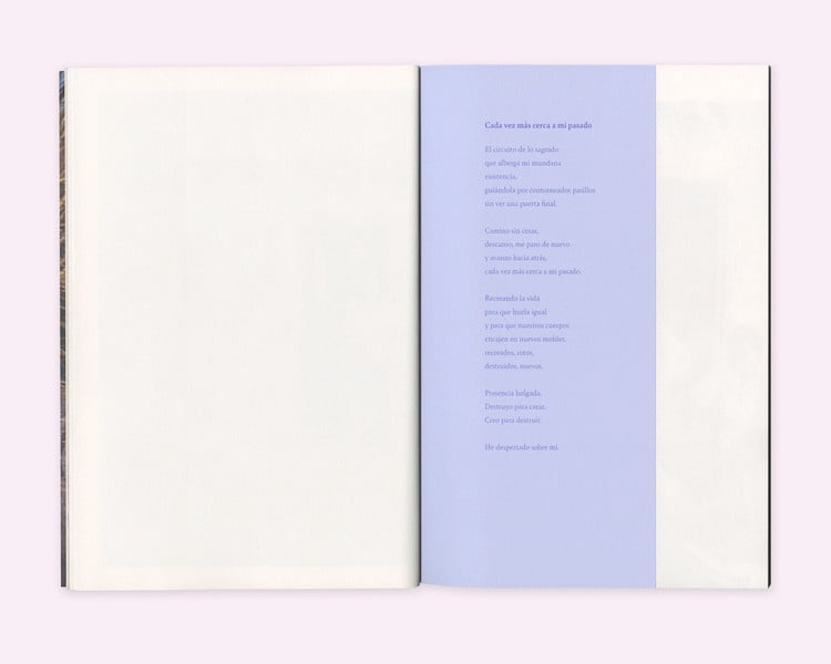 Diana Guerra: Fleeting Under Light