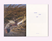 Diana Guerra: Fleeting Under Light