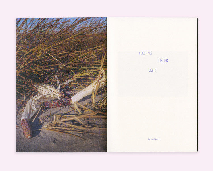 Diana Guerra: Fleeting Under Light