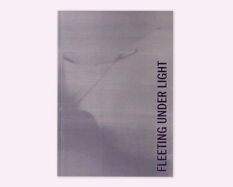 Diana Guerra: Fleeting Under Light