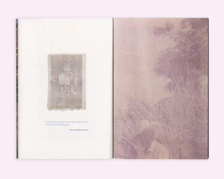 Diana Guerra: Fleeting Under Light