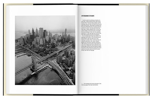 Danny Lyon: The Destruction of Lower Manhattan (Re-issue Edition)