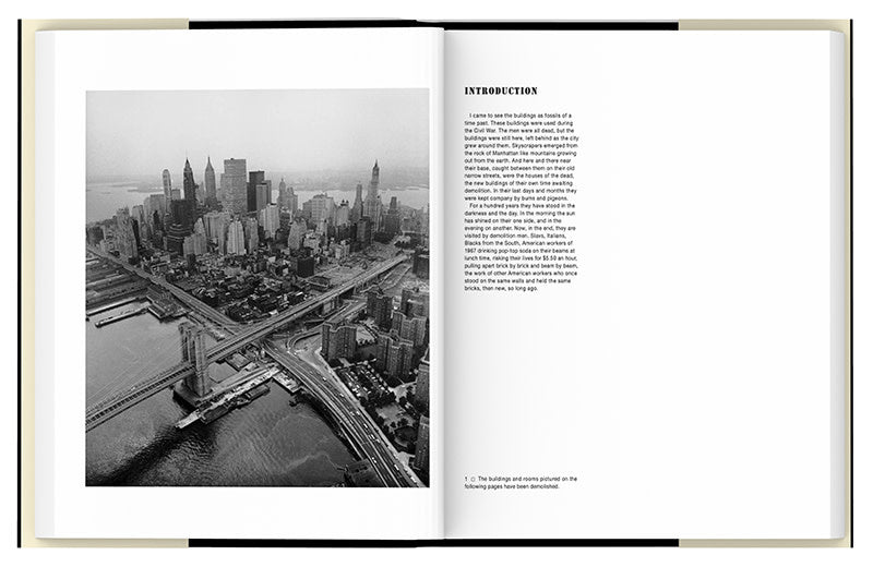 Danny Lyon: The Destruction of Lower Manhattan (Re-issue Edition)