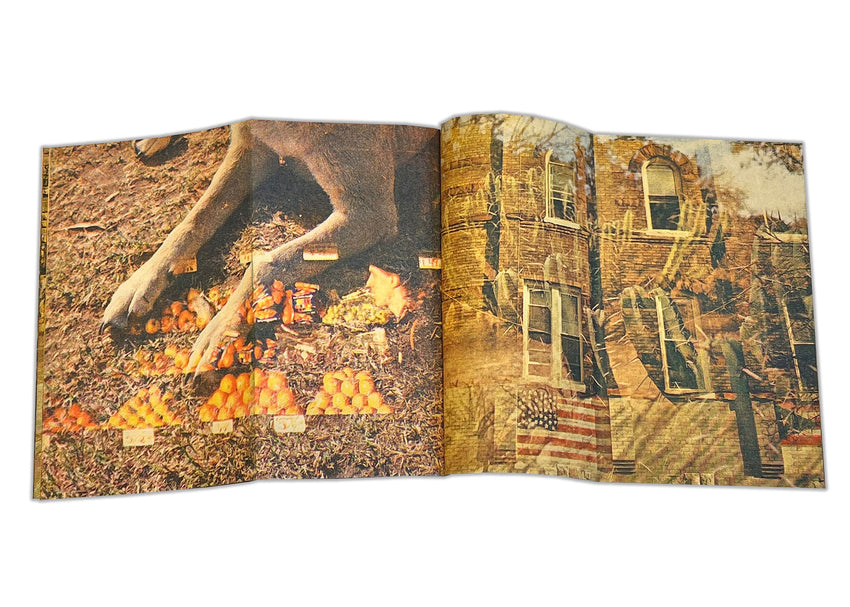 Oswaldo Garcia: Doble exposure
