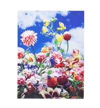 Mika Ninagawa: Eternity in a Moment Vol. 1