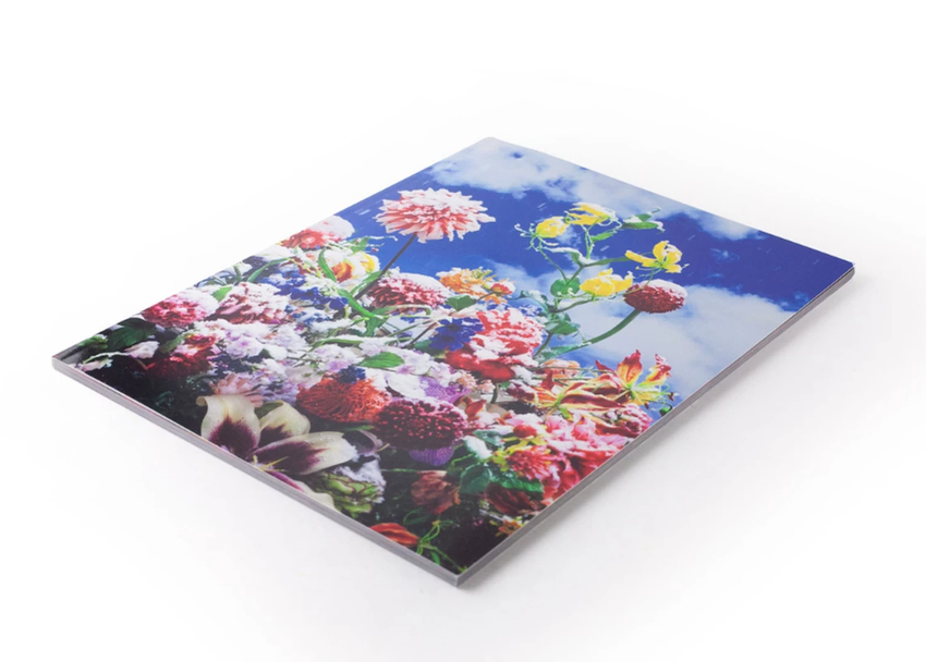 Mika Ninagawa: Eternity in a Moment Vol. 1