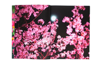 Mika Ninagawa: Eternity in a Moment Vol. 1