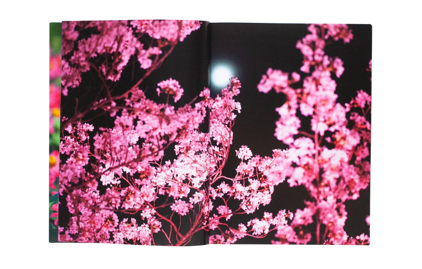Mika Ninagawa: Eternity in a Moment Vol. 1