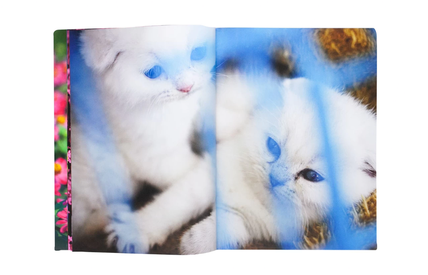 Mika Ninagawa: Eternity in a Moment Vol. 1