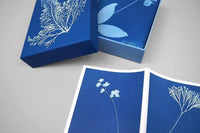 Sunprint Notecards