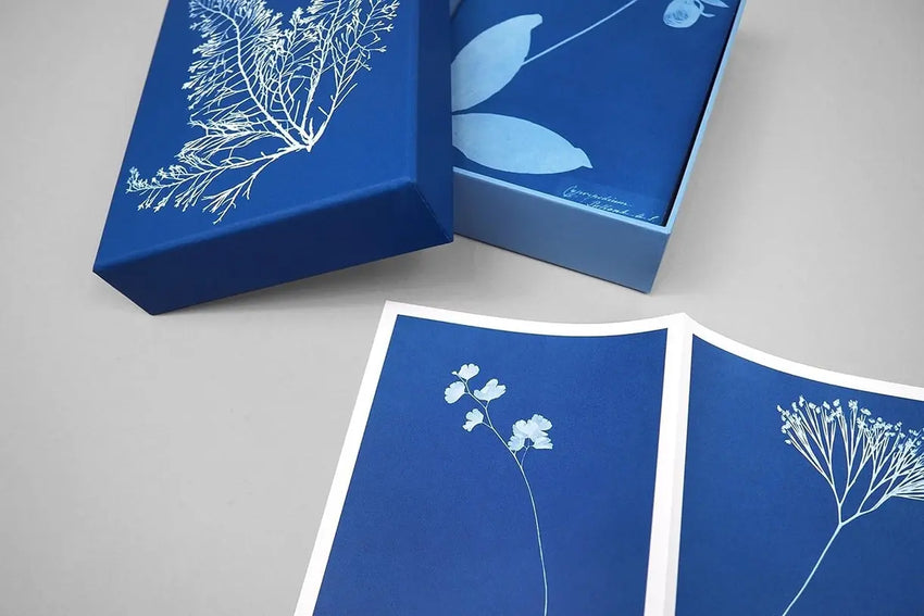 Sunprint Notecards